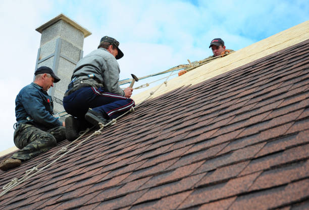 Best Roof Gutter Cleaning  in Kountze, TX